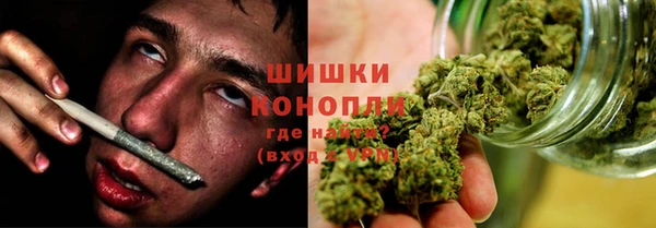 гашик Липки