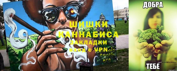 гашик Липки