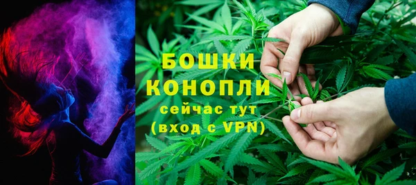 гашик Липки