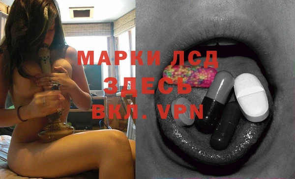 гашик Липки