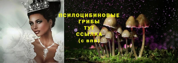 гашик Липки