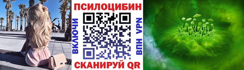 Псилоцибиновые грибы мицелий  Купить где  Печора 